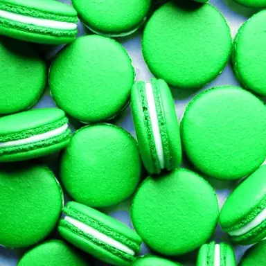 Profile image of 공룡