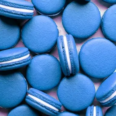 Profile image of 잠뜰