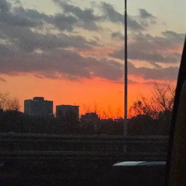 Profile image of 성한빈