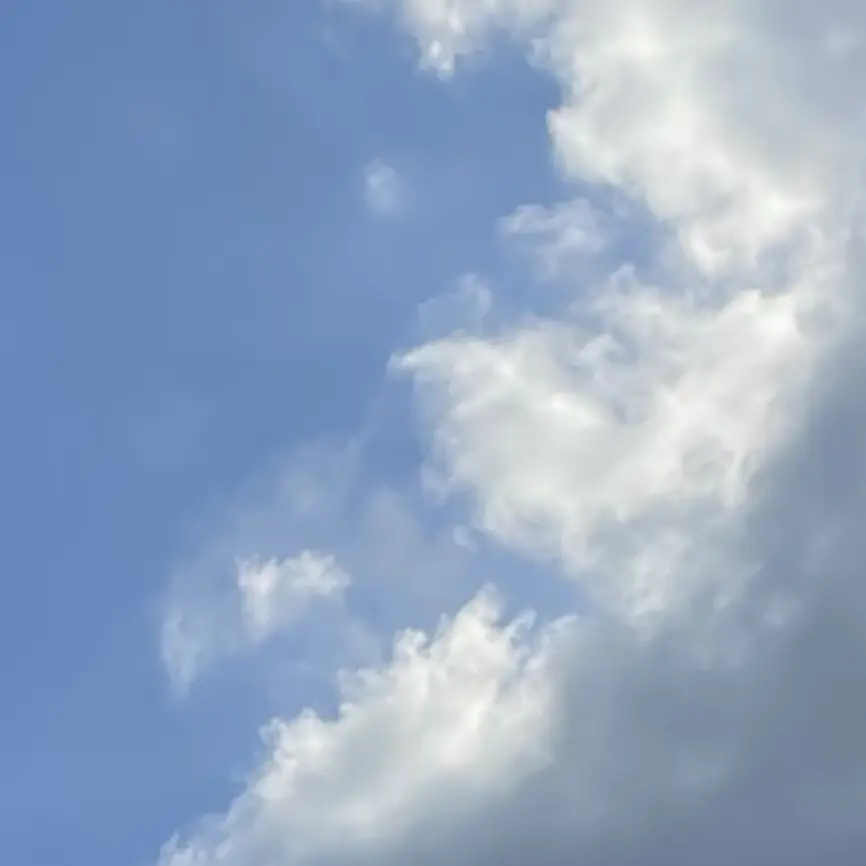 PurelyCloud4583의 히로시 리히토