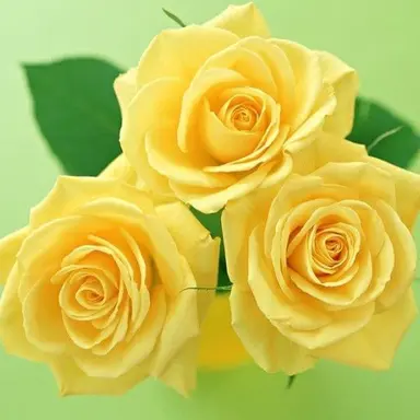 Profile image of 각별