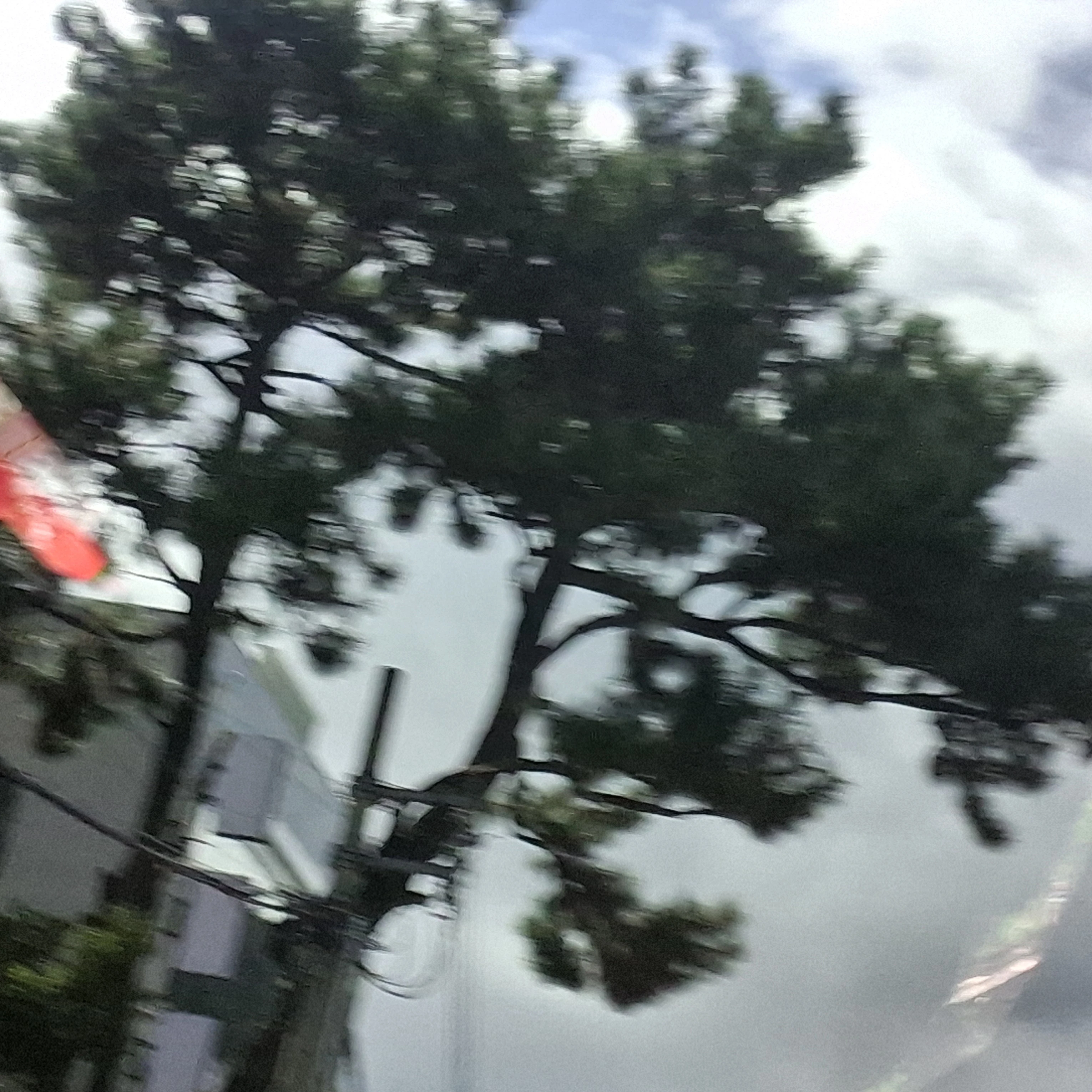 정상현