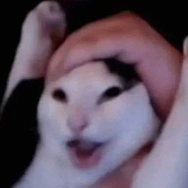 Profile image of 진따