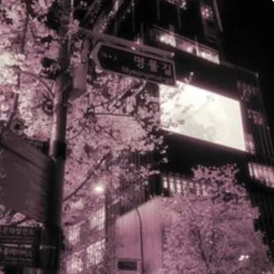 Profile image of 밥풀
