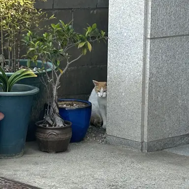 Profile image of 경기응원중급똥