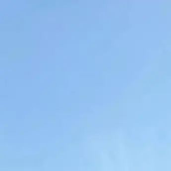 Profile image of SH