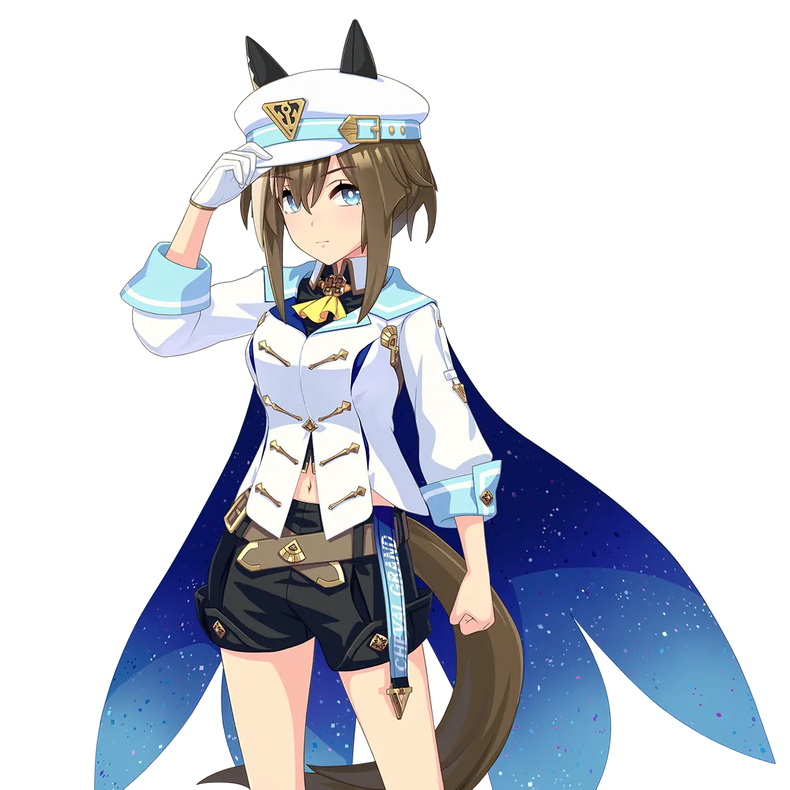 Nea_Aoboshi의 シュヴァルグラン