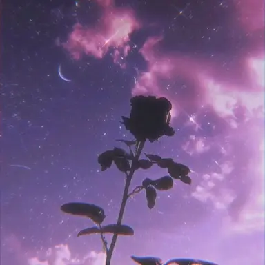 Profile image of 멜로우