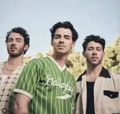 Profile image of The Jonas Brothers