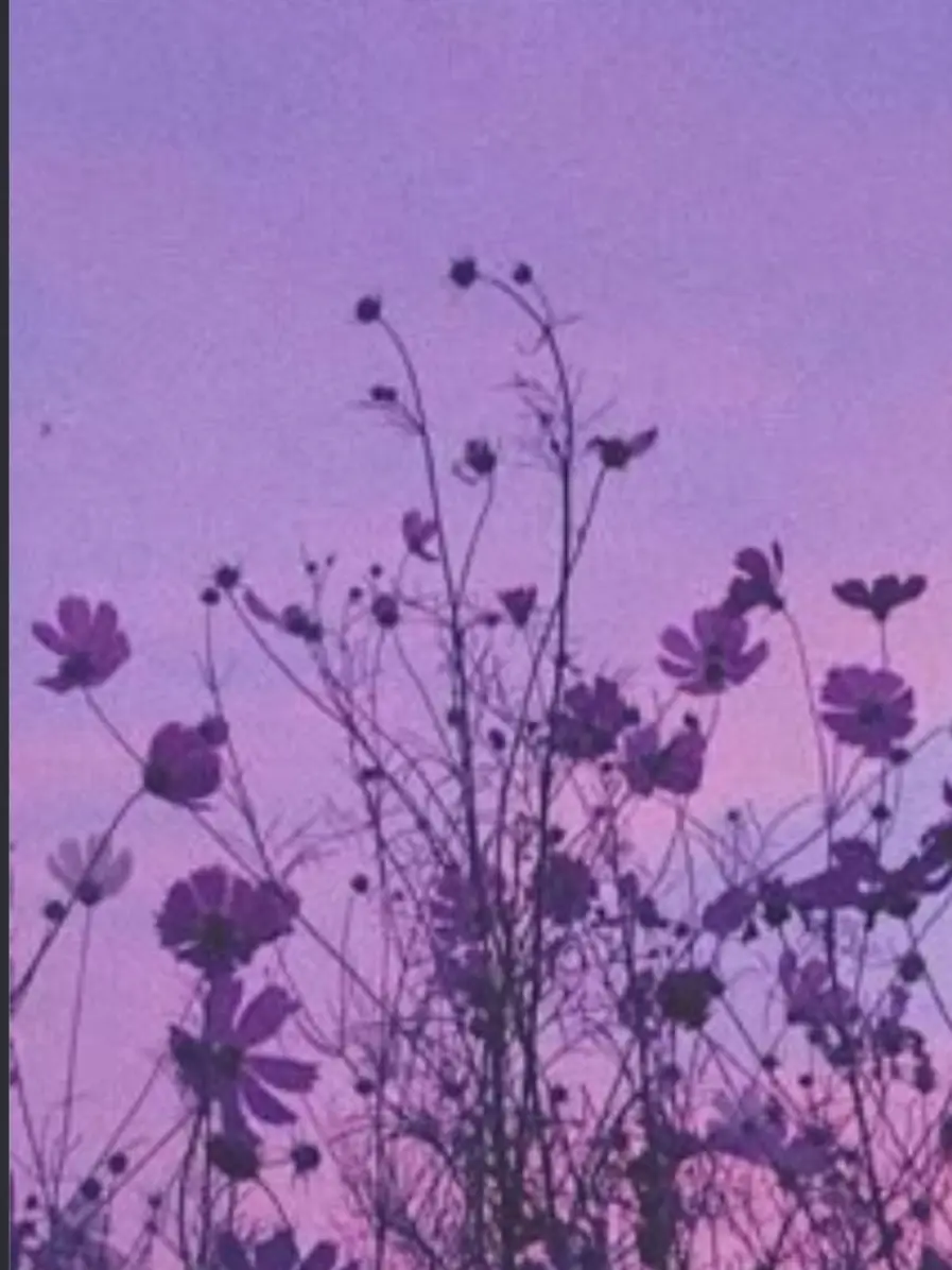 PointyVale8246의 助█てよ