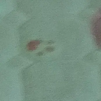 Profile image of 아3