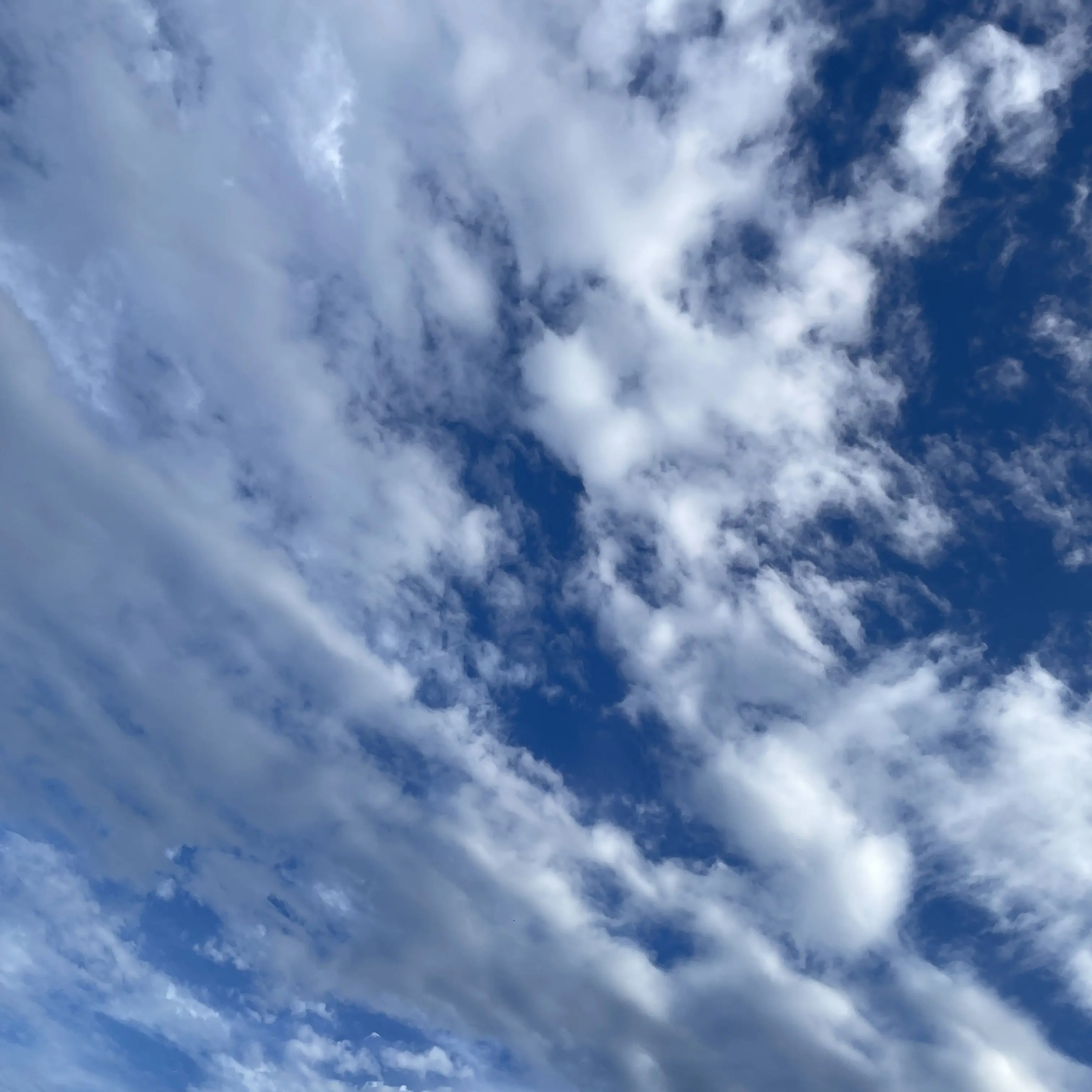 SubtleVideo1374의 태양의 후예