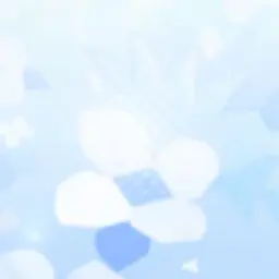 Profile image of 퀴리