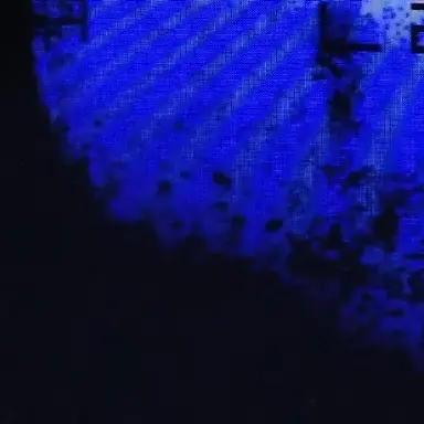 Profile image of 로언 데이미시