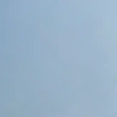 Profile image of 시트라 테라노바