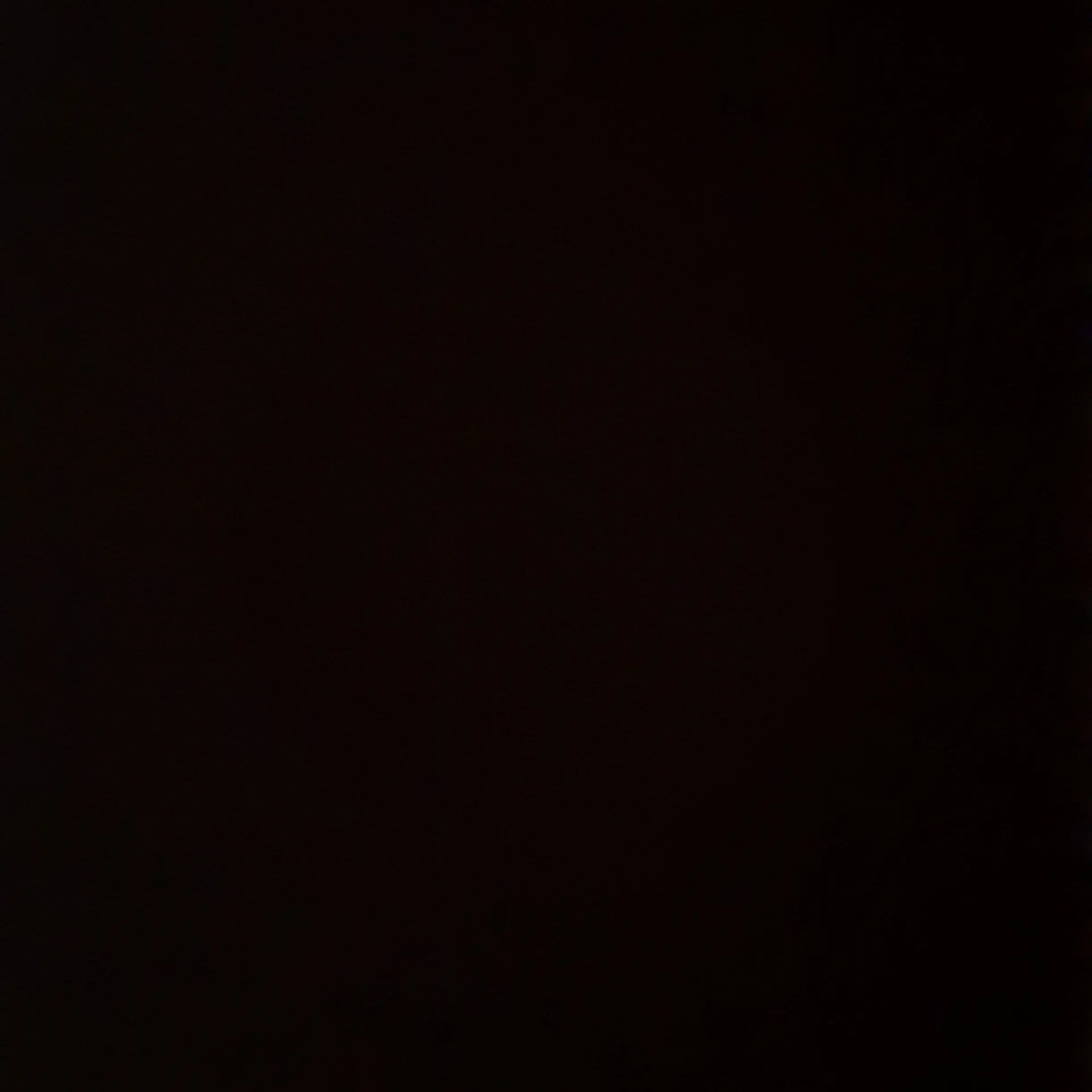 BrashMoose7801의 리레볼루션-모기