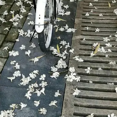 Profile image of 황수현