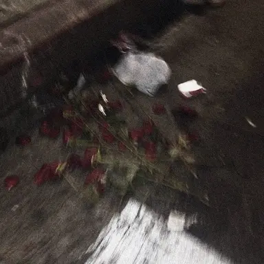 Profile image of 서라더