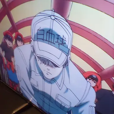 Profile image of 白血球