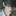 도강우