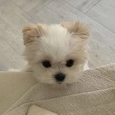 Profile image of 김규빈