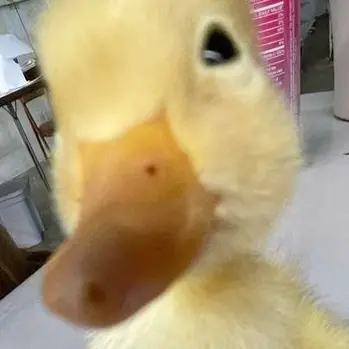 jeong36의 누구냐고…. 왜 말 안 하는데?