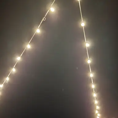 Profile image of 여우