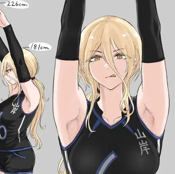 TestyVirus1370의 Volleyball Team Blocker