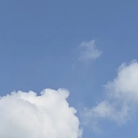 안지현