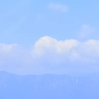Profile image of Summer
