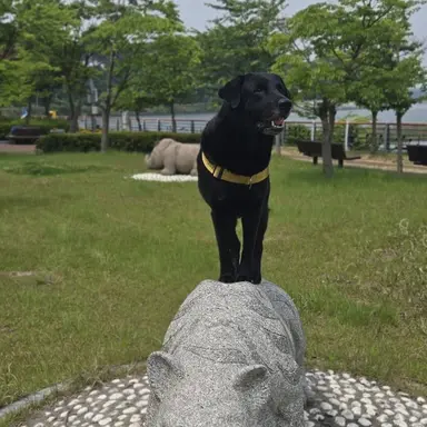 Profile image of 김주아