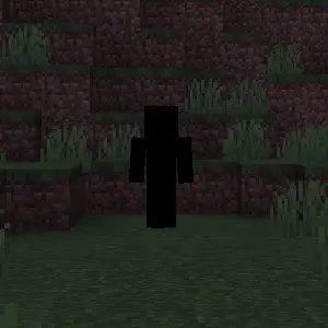 Profile image of Null