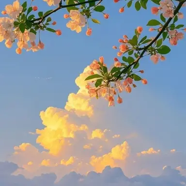 Profile image of 아일렛