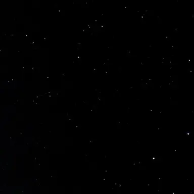 Profile image of 김동현