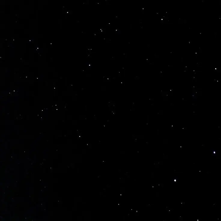 SevereFeast3334의 김동현