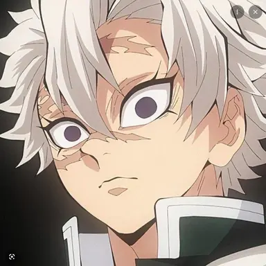 Profile image of Sanemi