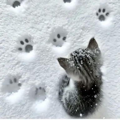 Profile image of 강제희