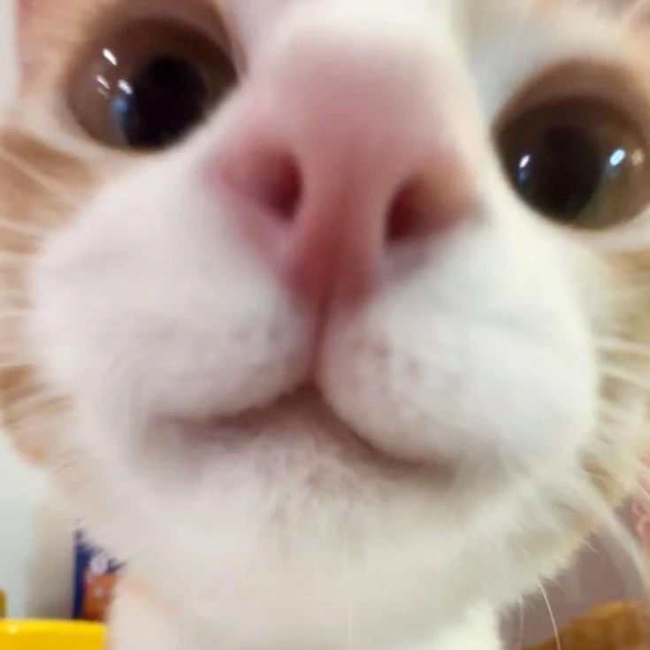 박성호