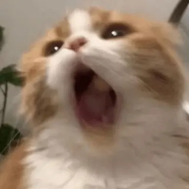 Profile image of おむらいす