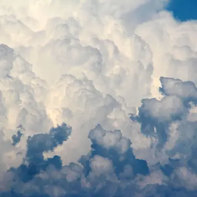 Profile image of 리온