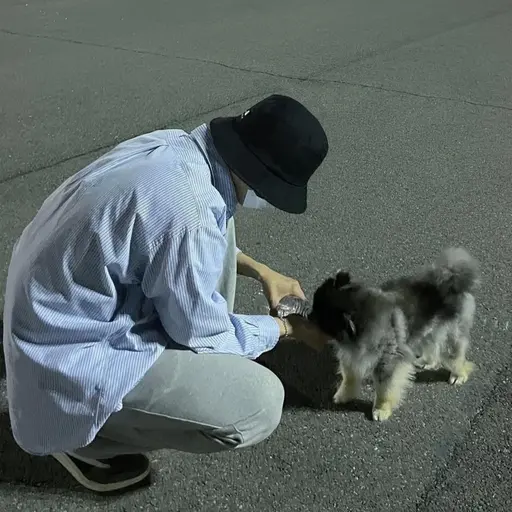 YYYYYYYYYYYYYYYYYYYYYYYYYYYY의 혜안