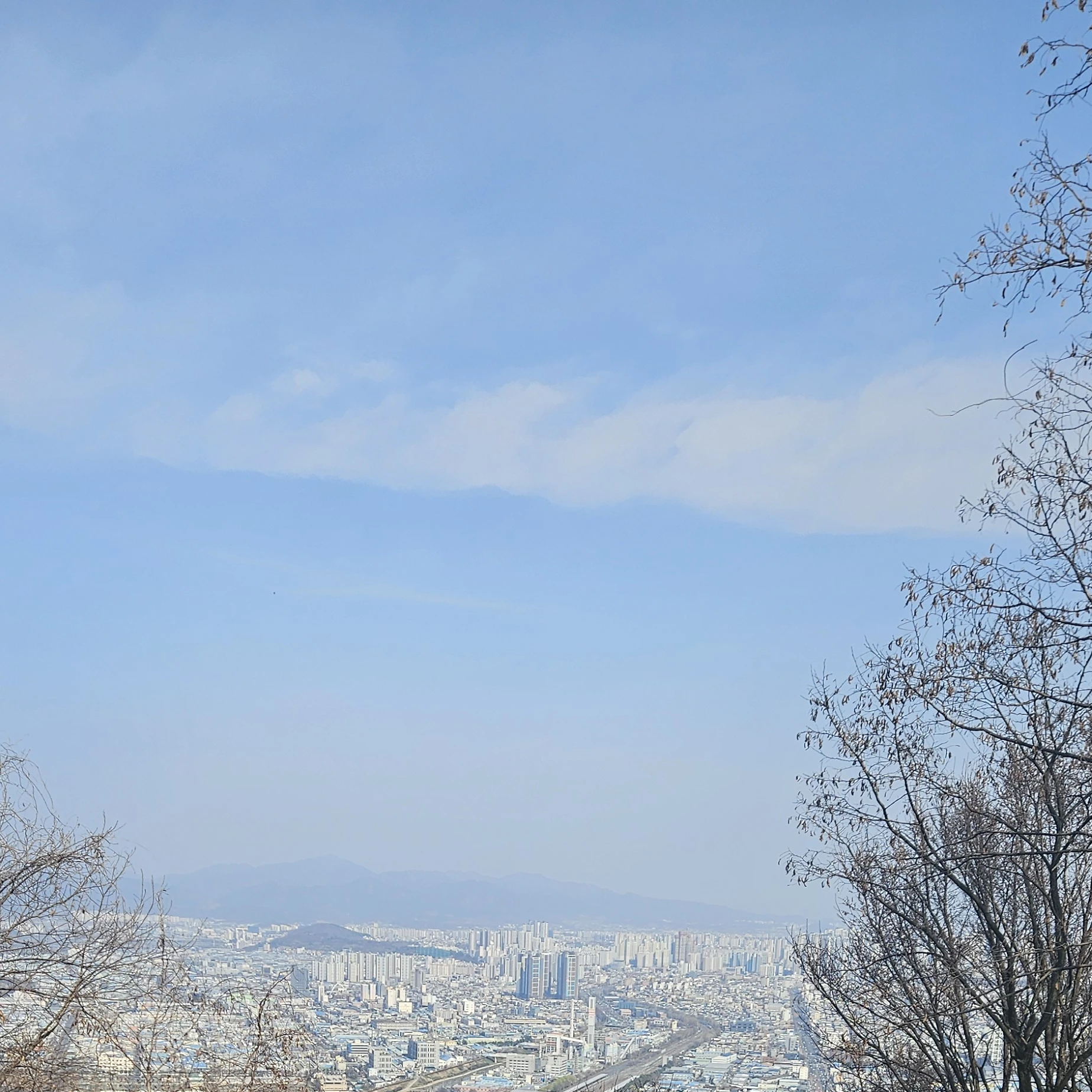 당신이 료미가 되었는데, 혼수상태라면?