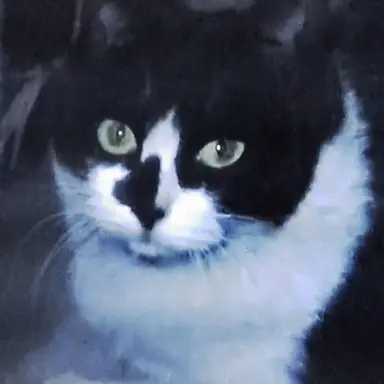 Profile image of 토리