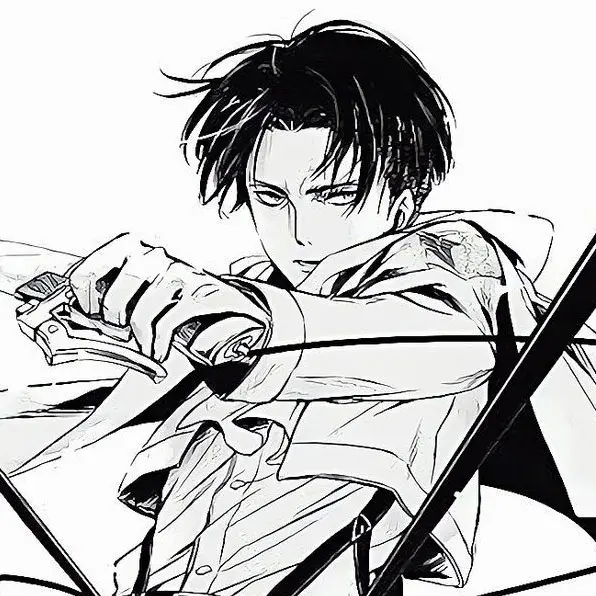 Levisocute의 리바이 아커만