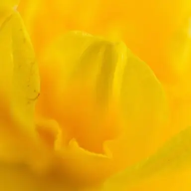 Profile image of 델타