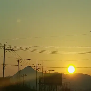 Profile image of 퓨어바닐라