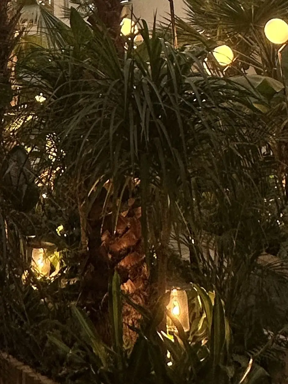 BEEsontop55555의 뜰팁 수인 고등학교