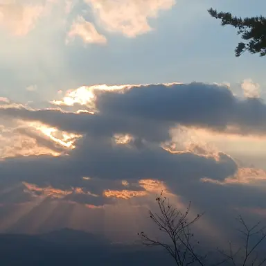 Profile image of 정지유