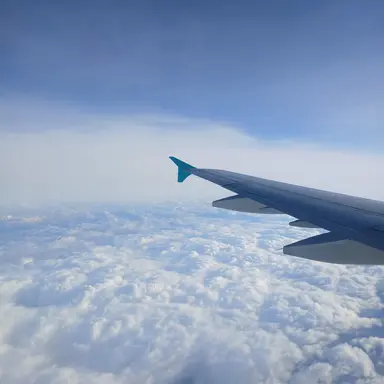 Profile image of 유승재