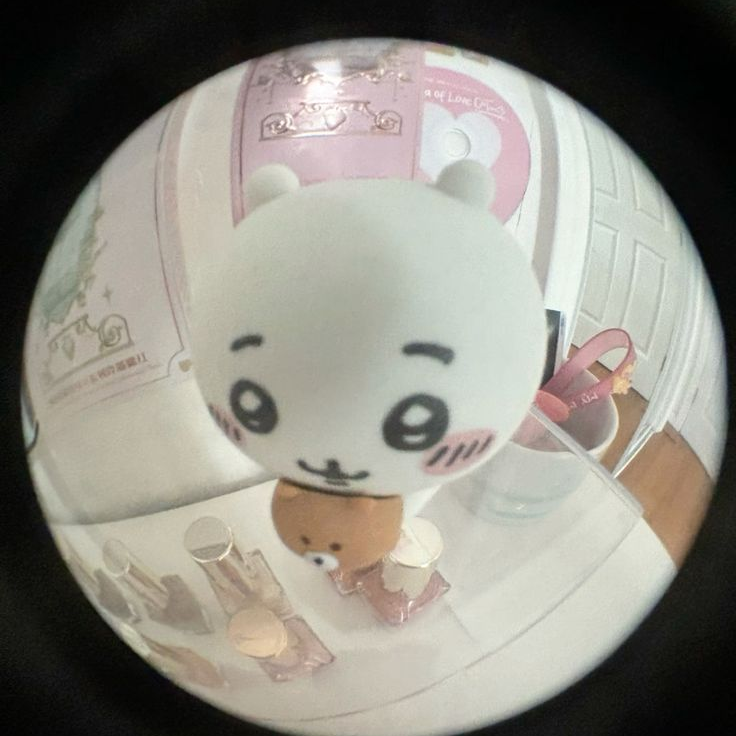 마법 아카데미⊹˚₊ ⋆ . 대표 이미지